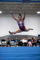 High School Gymnastics